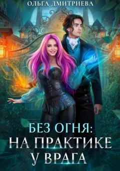 Обложка книги «На практике у врага» — Ольга Дмитриева