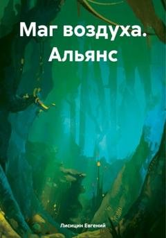 Обложка книги «Маг воздуха. Альянс» — Евгений Лисицин