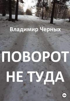 Обложка книги «Поворот не туда» — Владимир Романович Черных
