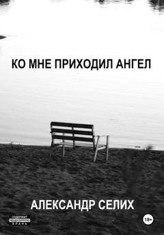 Обложка книги «Ко мне приходил ангел» — Александр Селих