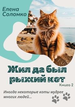 Обложка книги «Жил да был рыжий кот» — Елена Соломко