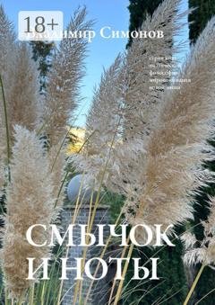 Обложка книги «Смычок и ноты. Серия книг поэтической философии миропонимания новой эпохи» — Владимир Симонов