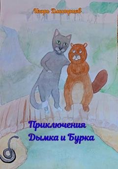 Обложка книги «Приключения Дымка и Бурка» — Игорь Дмитриев