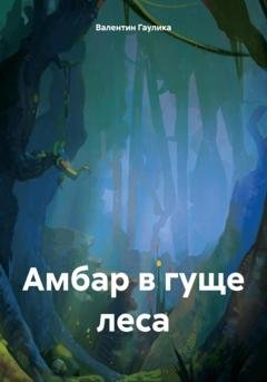 Обложка книги «Амбар в гуще леса» — Валентин Гаулика