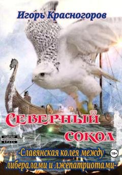 Обложка книги «Cеверный сокол. Славянская колея между либералами и лжепатриотами» — Игорь Валентинович Красногоров