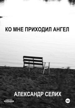 Обложка книги «Ко мне приходил ангел» — Александр Селих