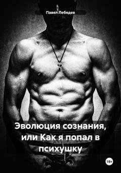 Обложка книги «Эволюция сознания, или Как я попал в психушку» — Павел Викторович Лебедев