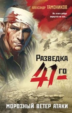 Обложка книги «Морозный ветер атаки» — Александр Тамоников