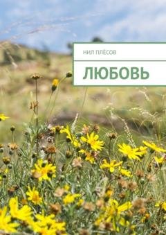 Обложка книги «Любовь» — Нил Плёсов