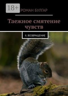 Обложка книги «Таежное смятение чувств. II. Возвращение» — Роман Булгар