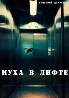 Обложка книги «Муха в лифте» — Григорий Домрачев
