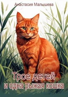 Обложка книги «Трое детей и одна рыжая кошка» — Анастасия Георгиевна Малышева