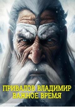 Обложка книги «Важное время» — Владимир Привалов