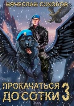Обложка книги «Прокачаться до сотки 3» — Вячеслав Иванович Соколов
