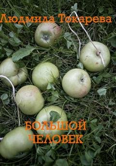 Обложка книги «Большой человек» — Людмила Токарева