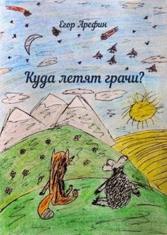 Обложка книги «Куда летят грачи?» — Егор Арефин