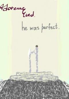 Обложка книги «He was perfect» — Adorenne Eved