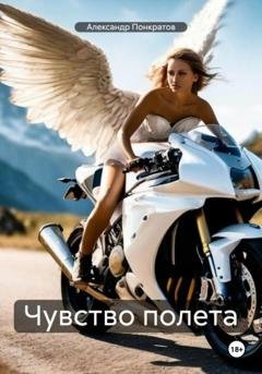 Обложка книги «Чувство полета» — Александр Понкратов