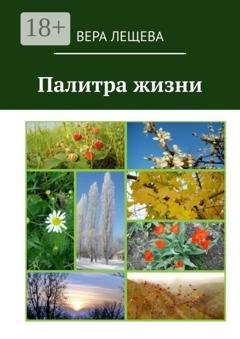 Обложка книги «Палитра жизни» — Вера Николаевна Лещева