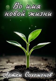 Обложка книги «Во имя новой жизни» — Артём Соломонов