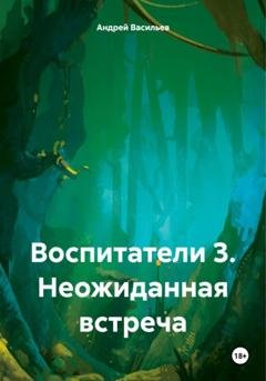 Обложка книги «Воспитатели 3. Неожиданная встреча» — Андрей Геннадьевич Васильев