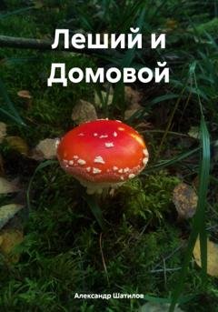 Обложка книги «Леший и Домовой» — Александр Шатилов