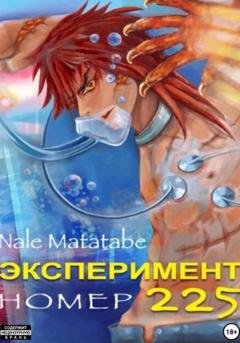 Обложка книги «Эксперимент номер 225» — Nale Matatabe