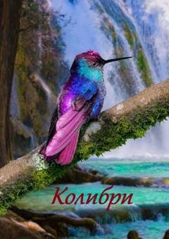 Обложка книги «Колибри» — Стефания Лукас