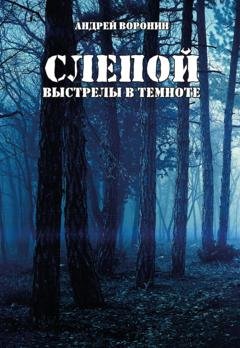 Обложка книги «Слепой. Выстрелы в темноте» — Андрей Воронин