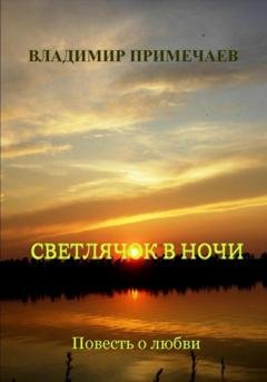 Обложка книги «Светлячок в ночи» — Владимир Примечаев