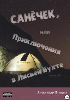 Обложка книги «Санёчек, или Приключения в Лисьей бухте» — Александр Лебедев