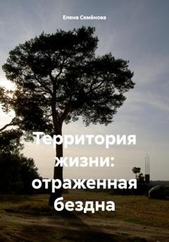 Обложка книги «Территория жизни: отраженная бездна» — Елена Владимировна Семёнова