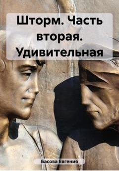 Обложка книги «Шторм. Часть вторая. Удивительная» — Евгения Басова