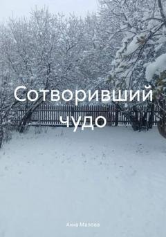 Обложка книги «Сотворивший чудо» — Анна Малова