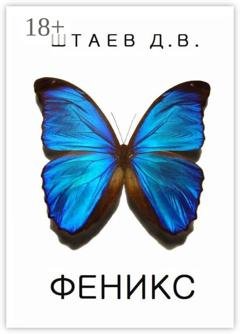 Обложка книги «Феникс» — Денис Викторович Штаев