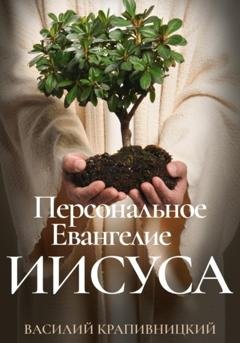 Обложка книги «Персональное Евангелие Иисуса» — Василий Крапивницкий