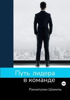 Обложка книги «Путь лидера в команде» — Шамиль Рахматулин