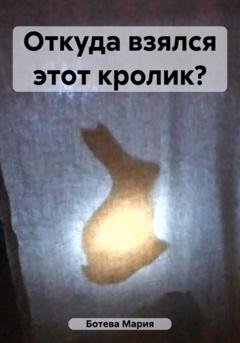 Обложка книги «Откуда взялся этот кролик?» — Мария Ботева