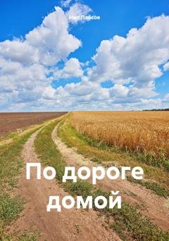 Обложка книги «По дороге домой» — Нил Плёсов
