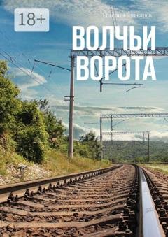 Обложка книги «Волчьи ворота» — Евгений Башкарев