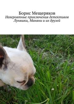 Обложка книги «Невероятные приключения детективов Луняшки, Маняни и их друзей» — Борис Александрович Мещеряков