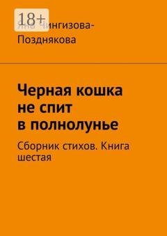 Обложка книги «Черная кошка не спит в полнолунье. Сборник стихов. Книга шестая» — Яна Чингизова-Позднякова