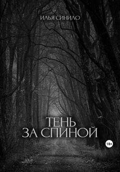 Обложка книги «Тень за спиной» — Илья Синило
