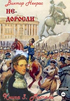 Обложка книги «Метель» — Виктор Некрас