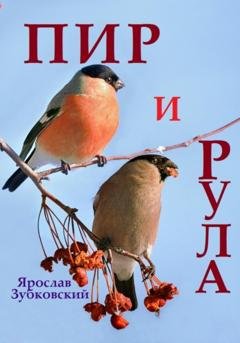 Обложка книги «Пир и Рула» — Ярослав Николаевич Зубковский