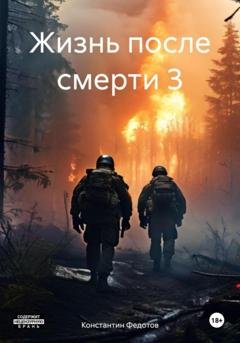 Обложка книги «Жизнь после смерти 3» — Константин Федотов