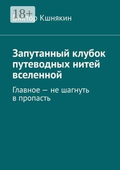 Обложка книги «Запутанный клубок путеводных нитей вселенной. Главное – не шагнуть в пропасть» — Виктор Кшнякин