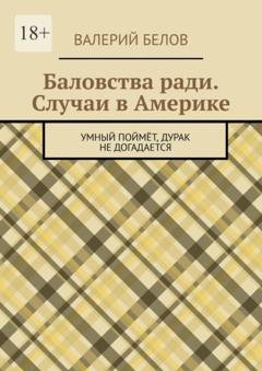 Обложка книги «Баловства ради. Случаи в Америке. Умный поймёт, дурак не догадается» — Валерий Сергеевич Белов