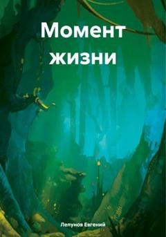 Обложка книги «Момент жизни» — Лепунов Евгений