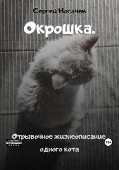 Обложка книги «Окрошка. Отрывочное жизнеописание одного кота» — Сергей Носачев